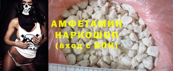 прущие грибы Новозыбков