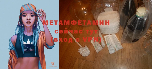 прущие грибы Новозыбков