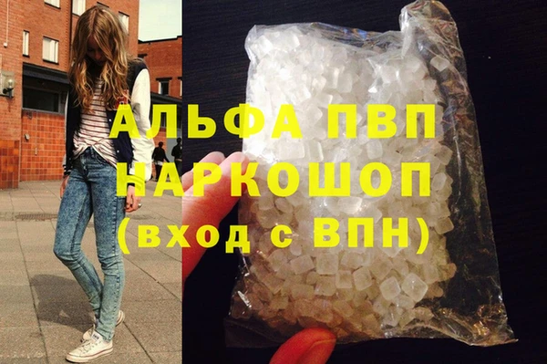 прущие грибы Новозыбков