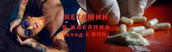 прущие грибы Новозыбков