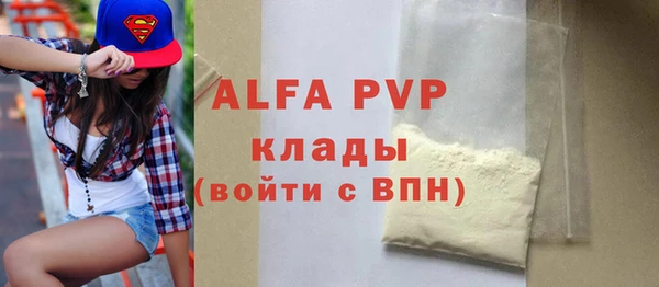 прущие грибы Новозыбков