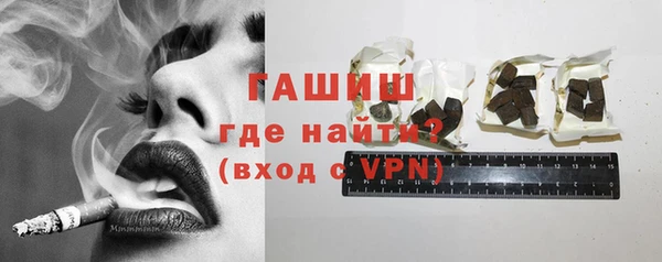 прущие грибы Новозыбков