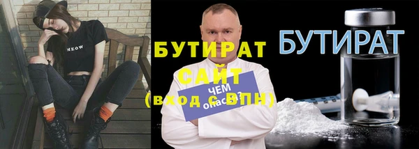 прущие грибы Новозыбков