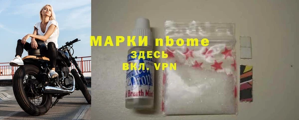 прущие грибы Новозыбков