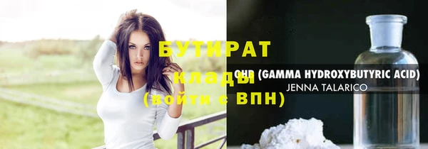 прущие грибы Новозыбков