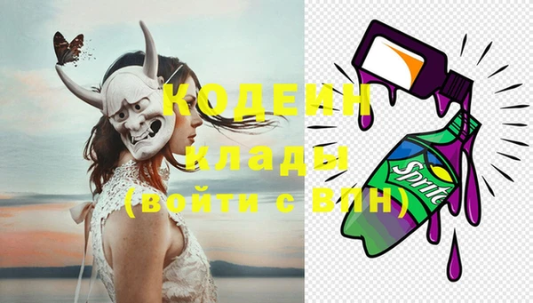 прущие грибы Новозыбков