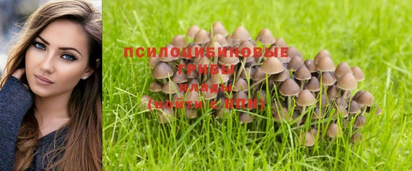 марки nbome Новокубанск