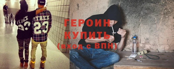 прущие грибы Новозыбков