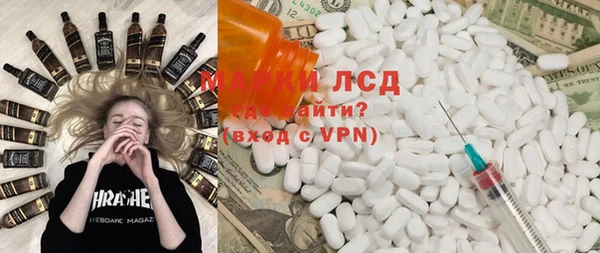 прущие грибы Новозыбков