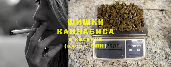 прущие грибы Новозыбков