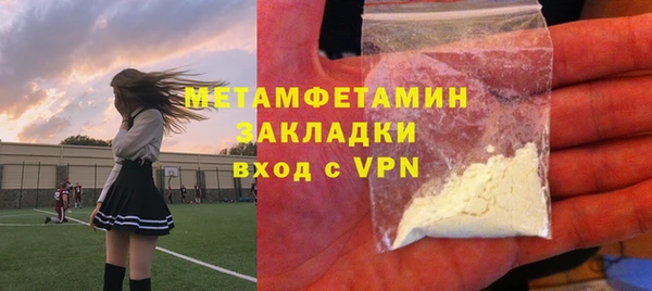 прущие грибы Новозыбков
