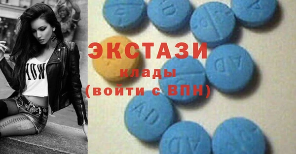 прущие грибы Новозыбков