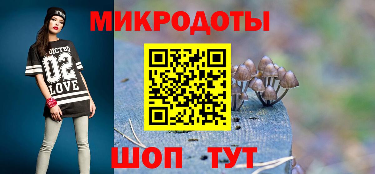 Светлоград  Псилоцибиновые грибы Psilocybe  Вход с VPN 